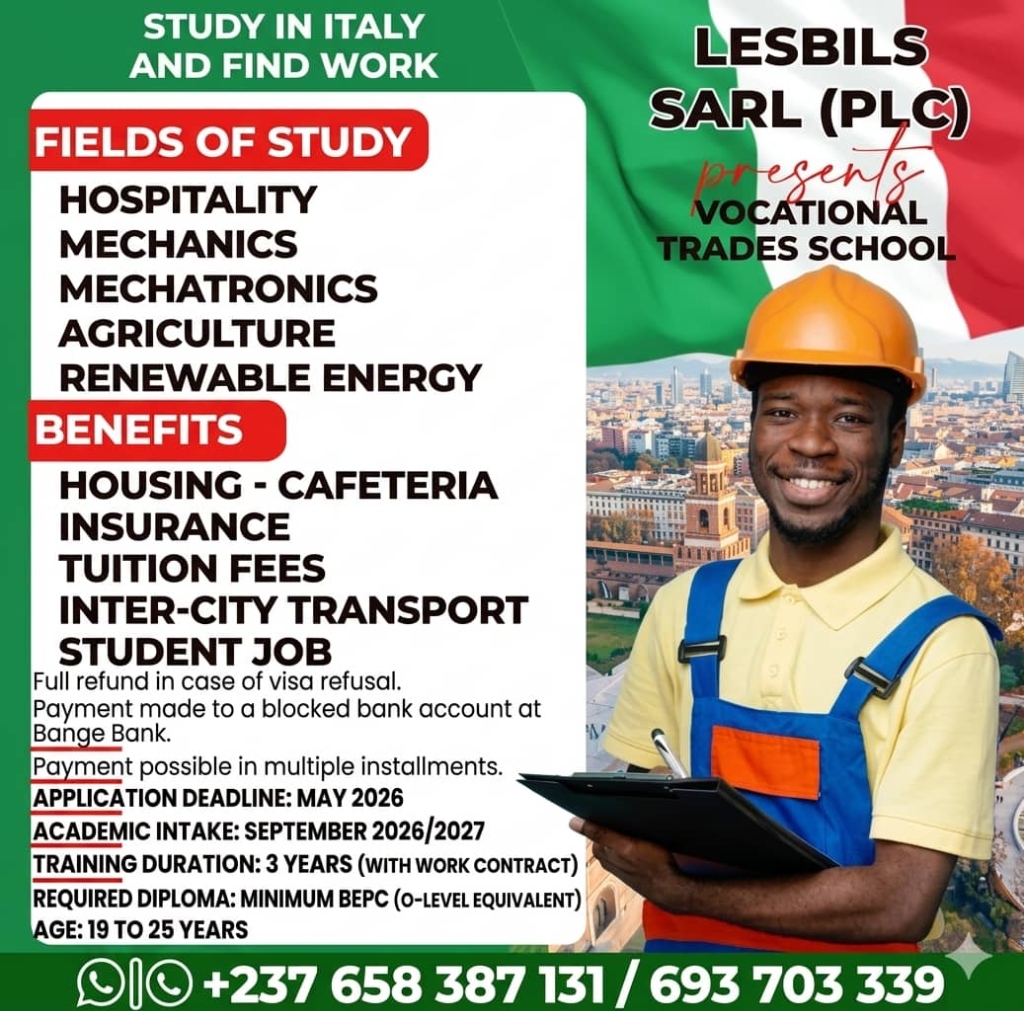 Flyer LES BILS — Études et Emploi en Italie